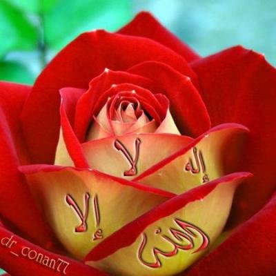 la ilaha ila allah